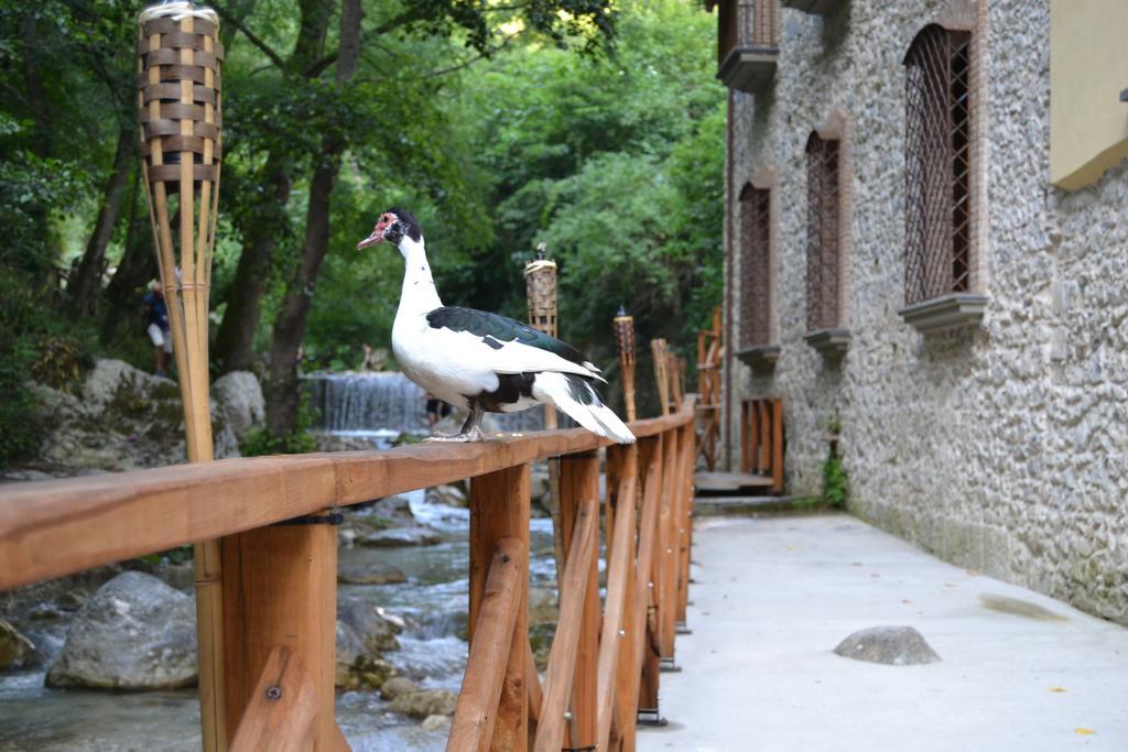Dimora Storica Hotel Maccarunera Campagna Exteriér fotografie